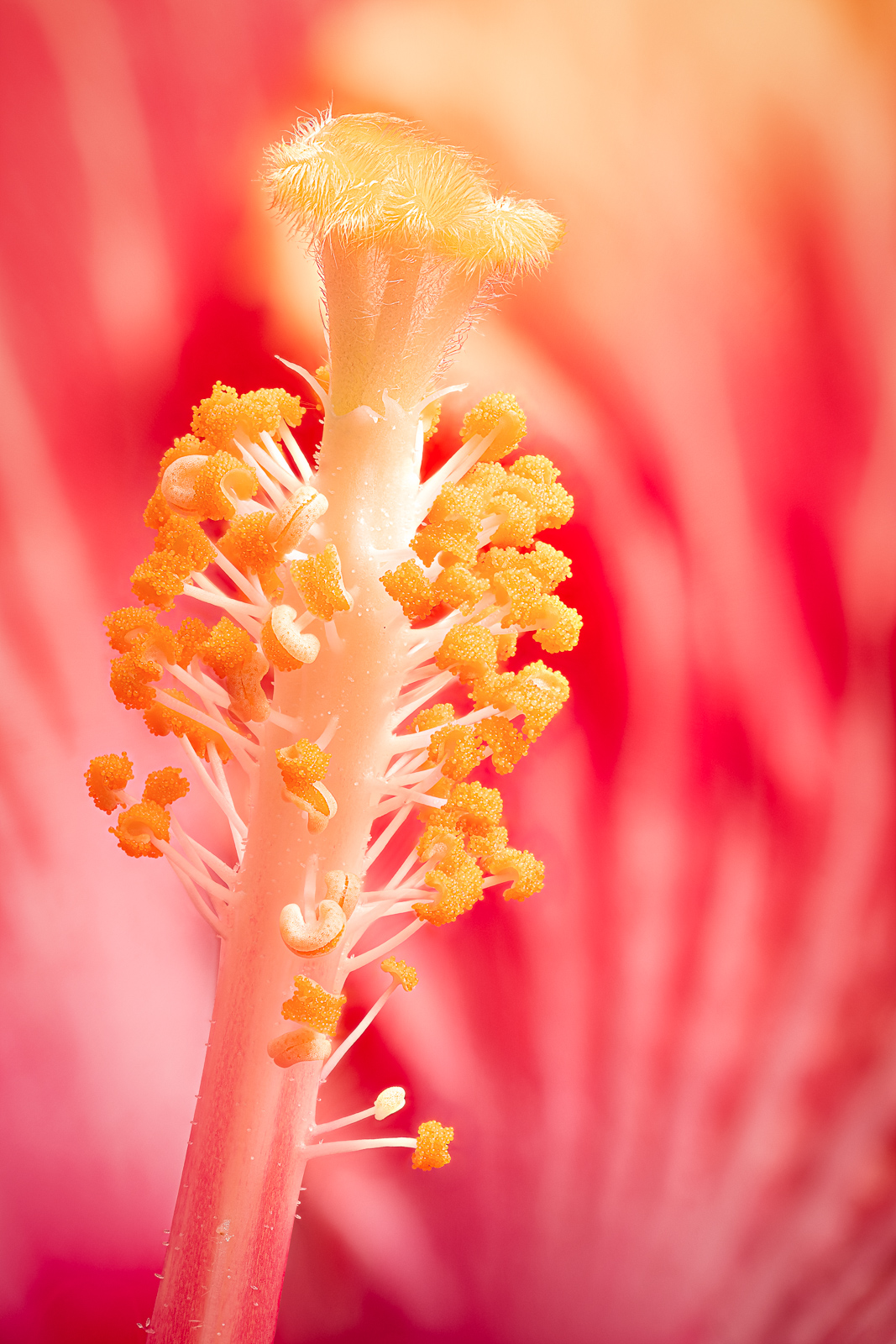 2020 12 19 21 29 24 (C,Smoothing1) Edit 2